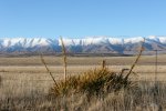 Hawkdun Mountains