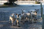 Our Neighbours